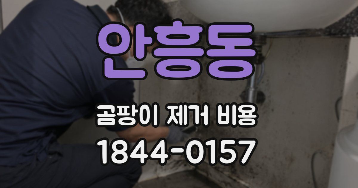 안흥동 곰팡이 제거 비용