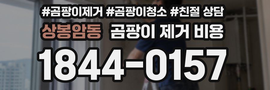상봉암동 곰팡이 제거 비용