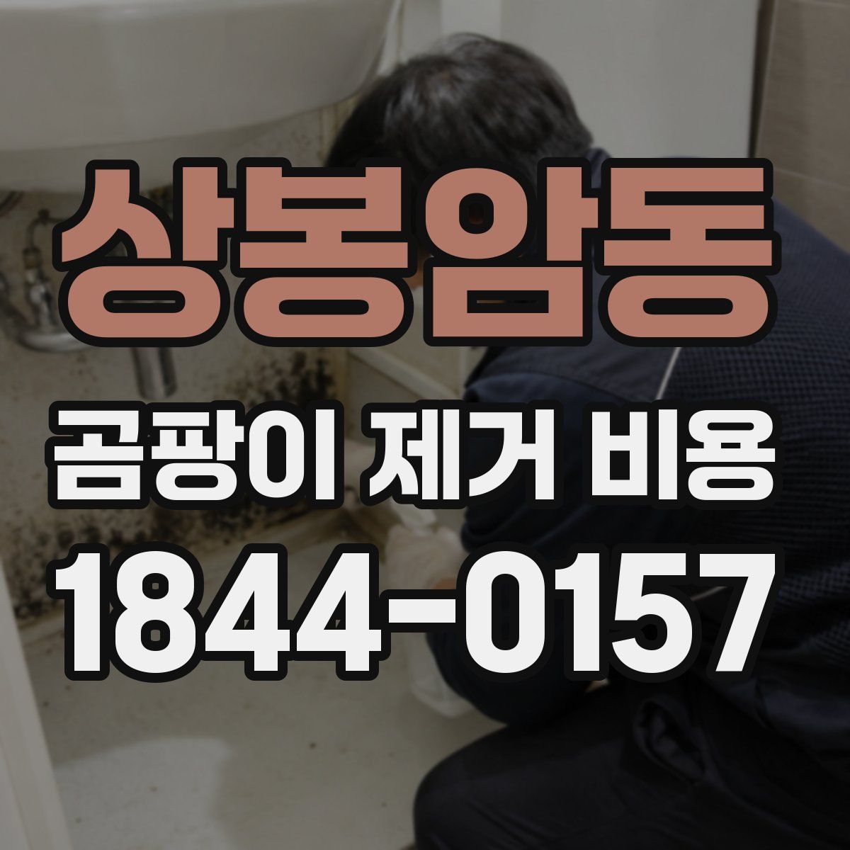 상봉암동 곰팡이 제거 비용