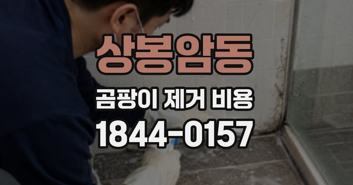 상봉암동 곰팡이 제거 비용