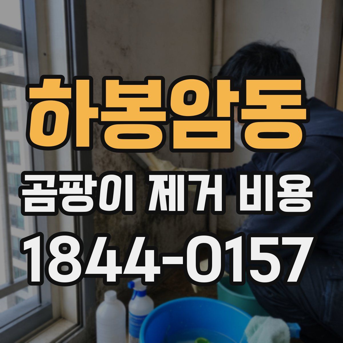 하봉암동 곰팡이 제거 비용