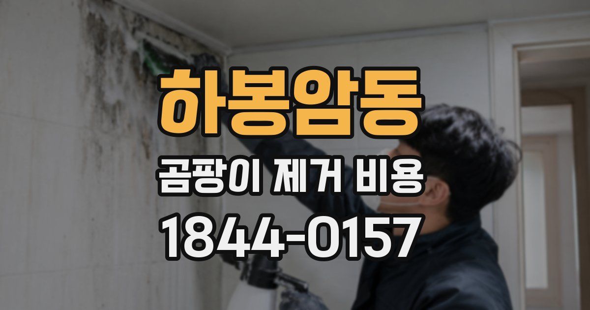 하봉암동 곰팡이 제거 비용