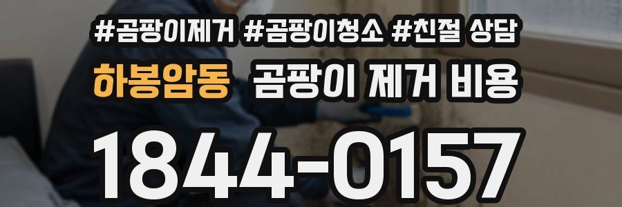하봉암동 곰팡이 제거 비용