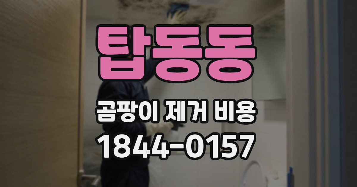 탑동동 곰팡이 제거 비용