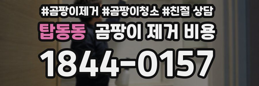 탑동동 곰팡이 제거 비용