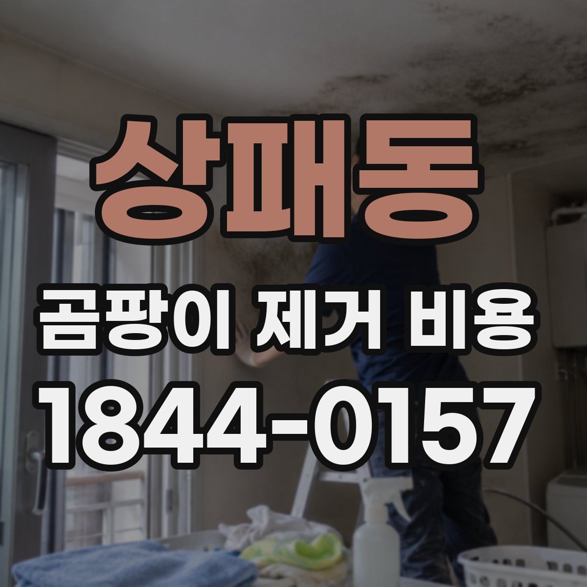 상패동 곰팡이 제거 비용