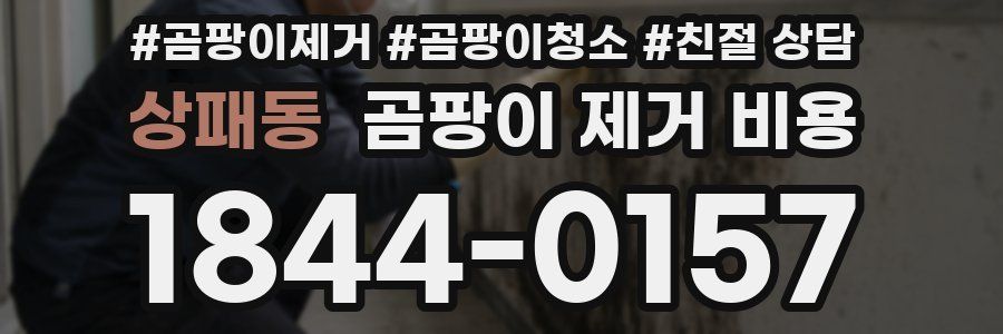 상패동 곰팡이 제거 비용