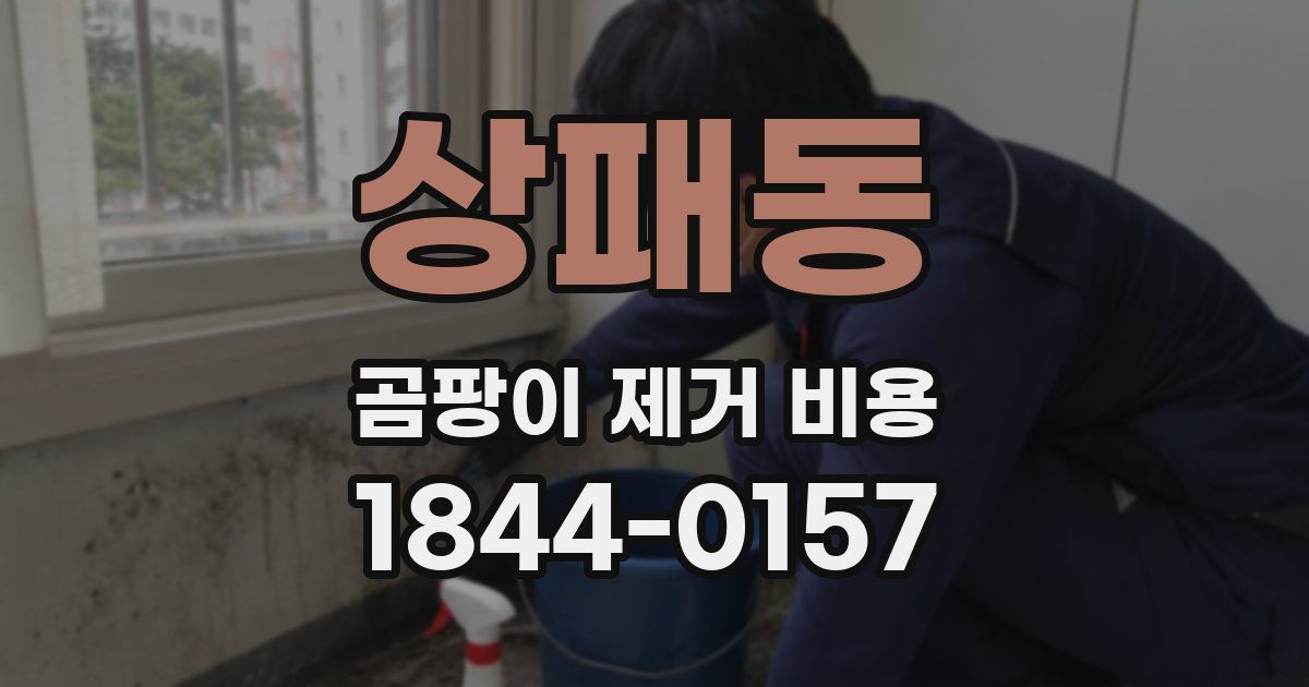 상패동 곰팡이 제거 비용