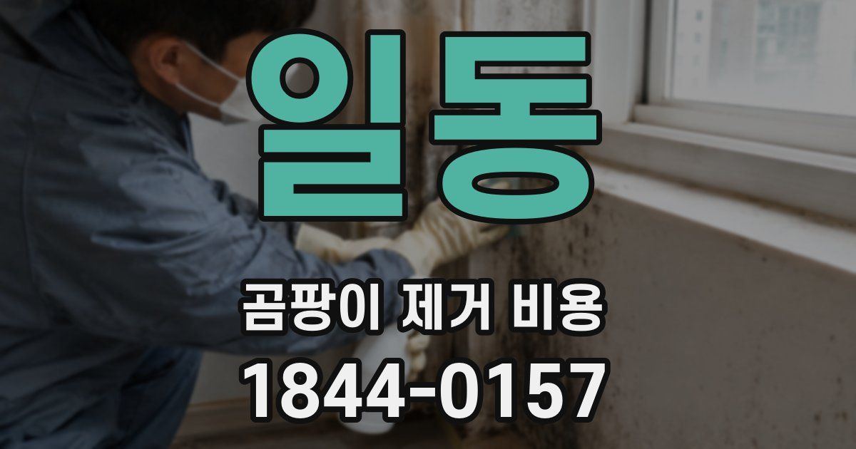 일동 곰팡이 제거 비용