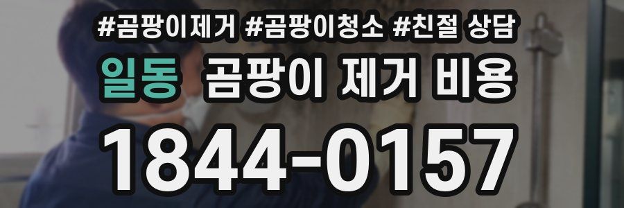 일동 곰팡이 제거 비용