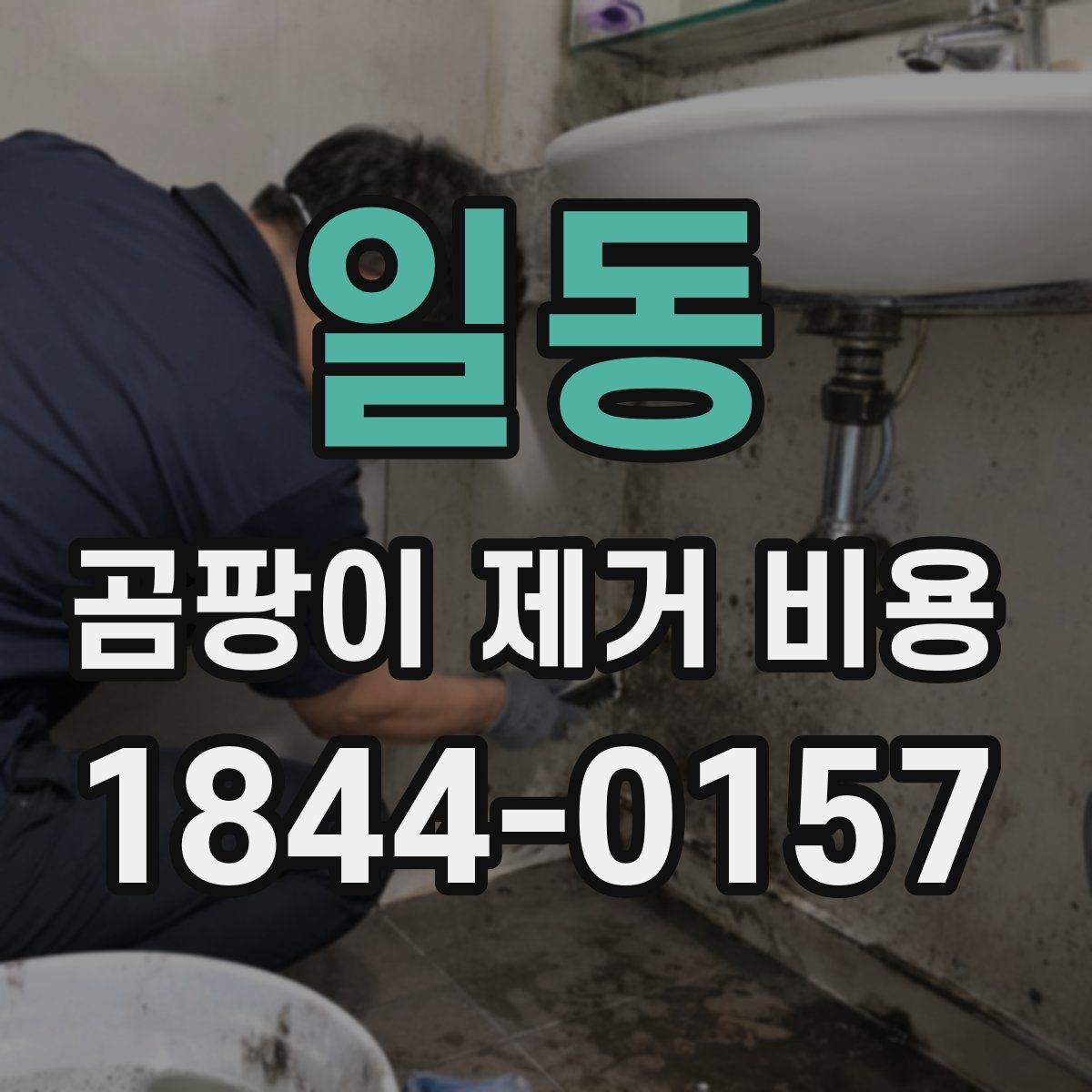 일동 곰팡이 제거 비용