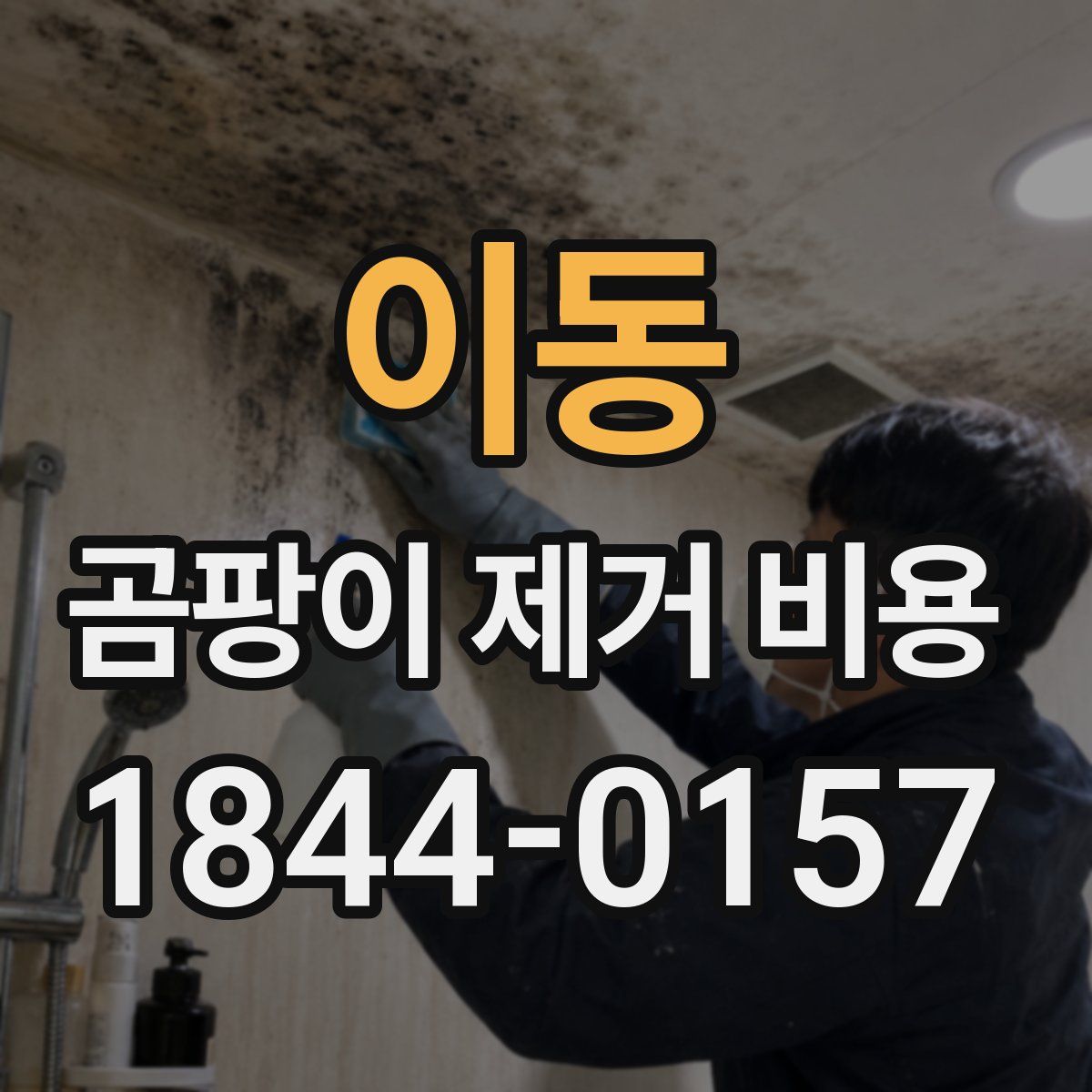 이동 곰팡이 제거 비용