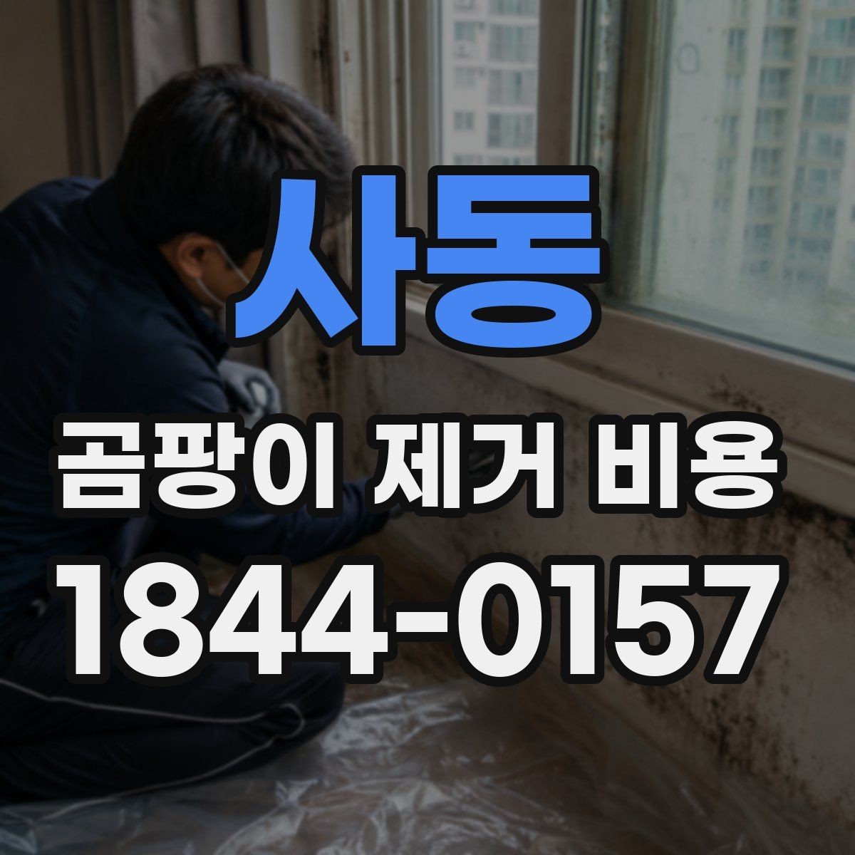 사동 곰팡이 제거 비용 현장 방문 견적이 필요한 경우