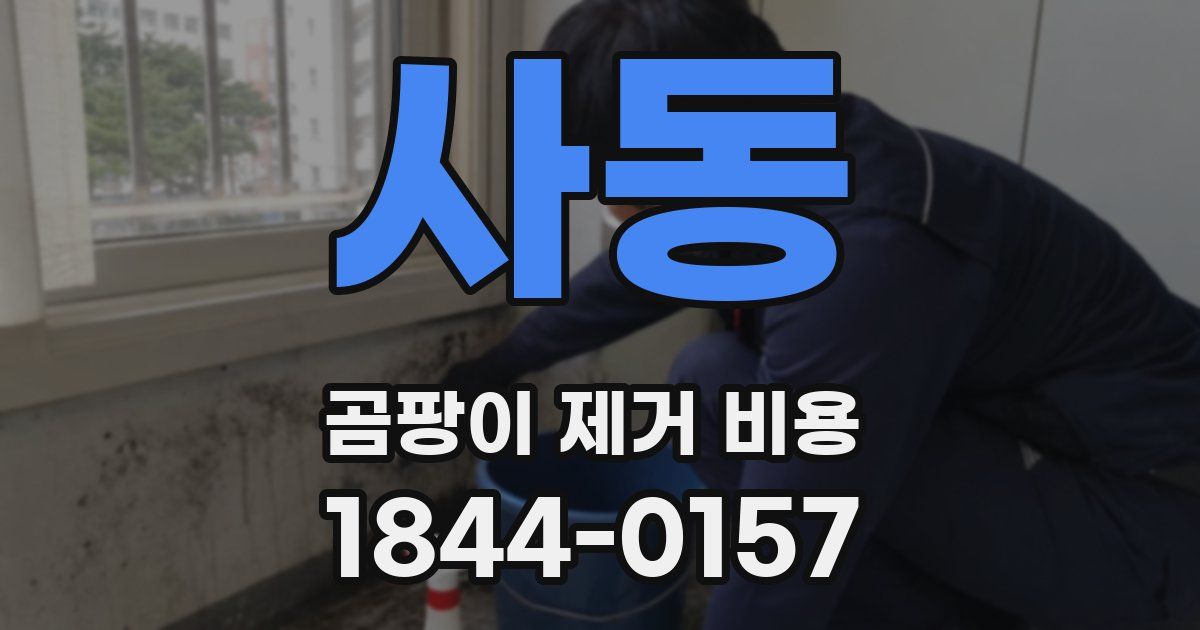 사동 곰팡이 제거 비용