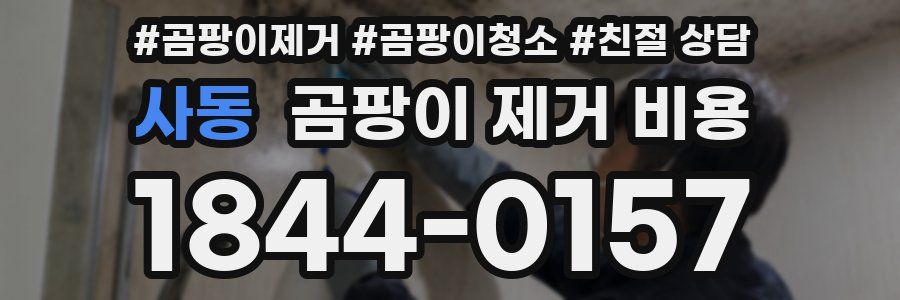 사동 곰팡이 제거 비용
