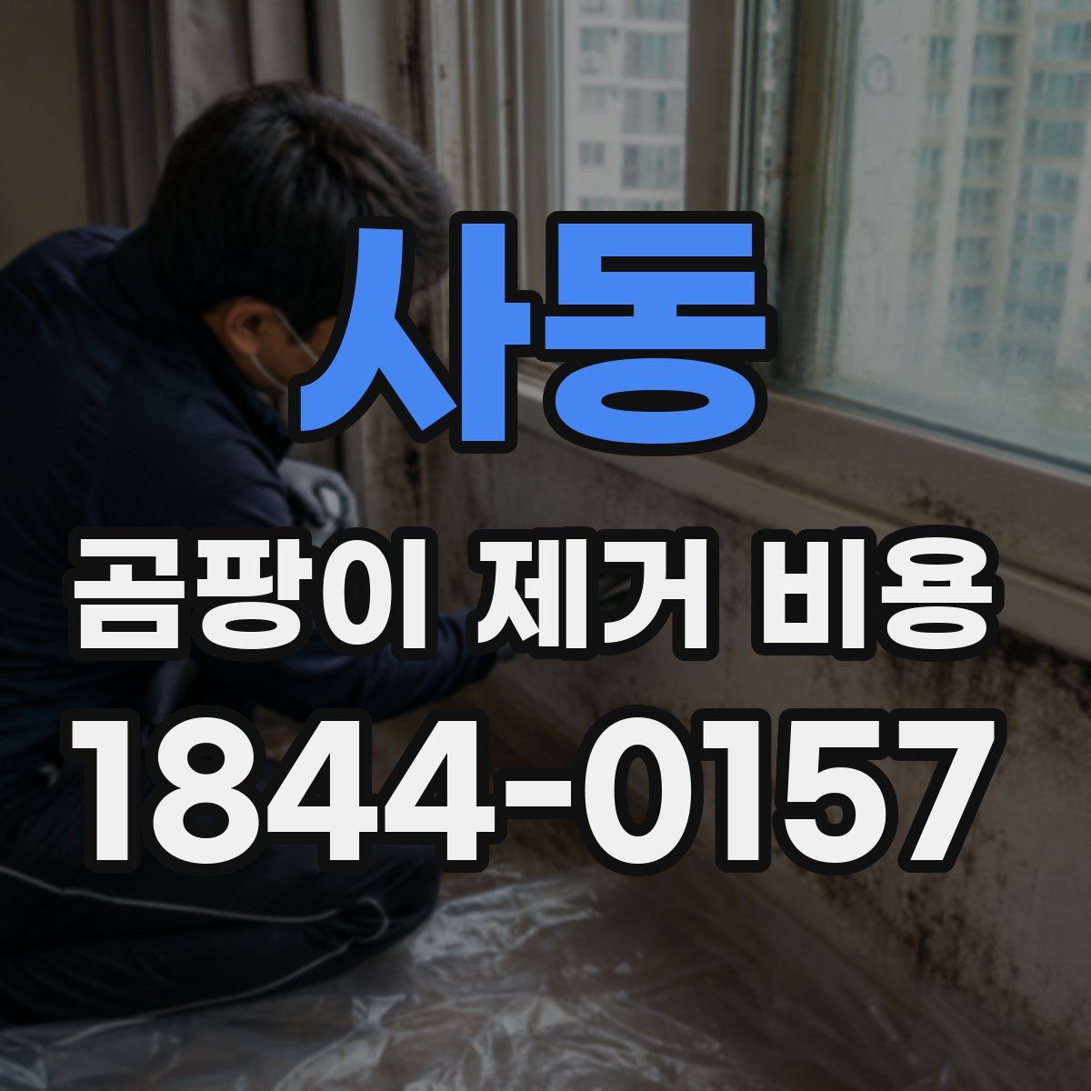 사동 곰팡이 제거 비용