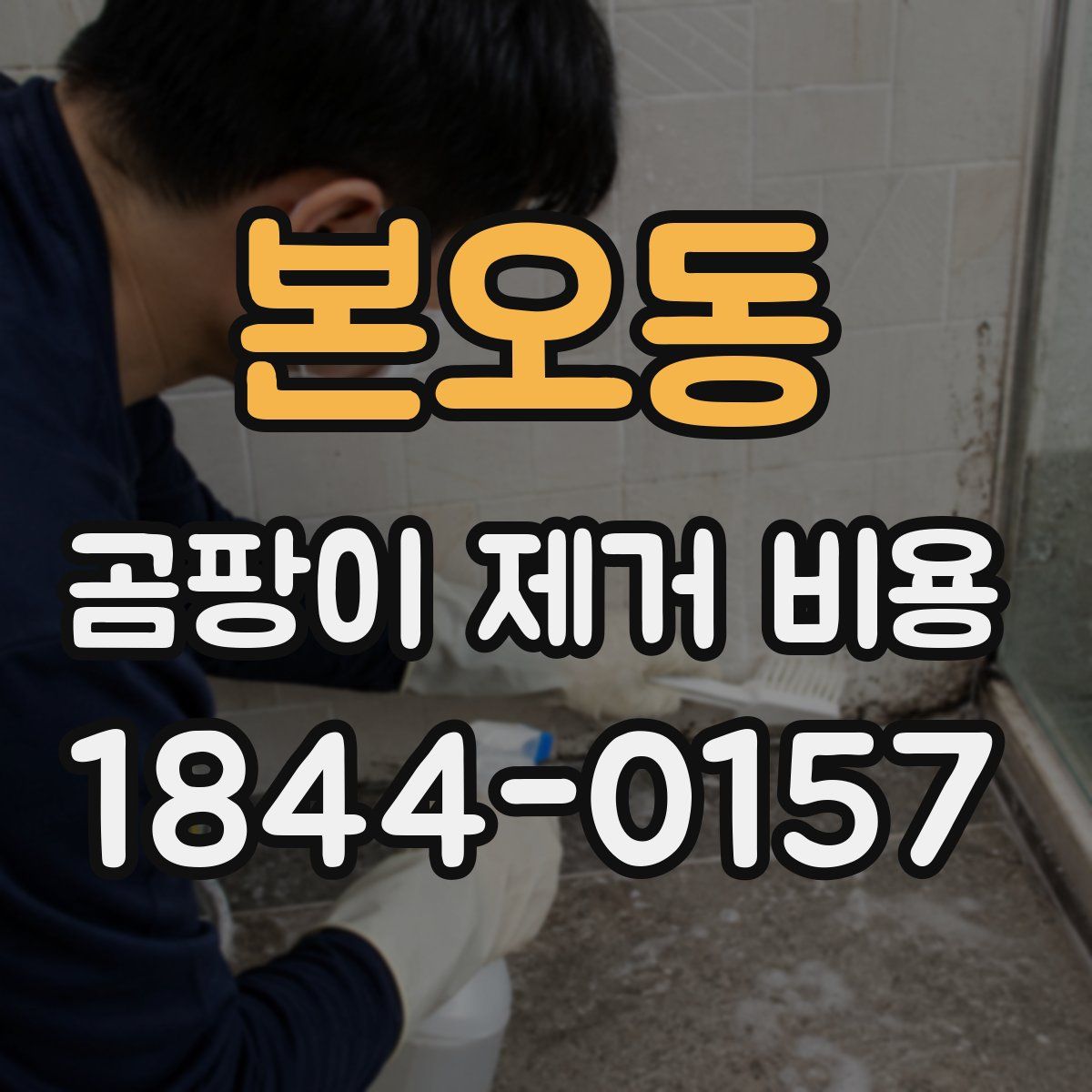 본오동 곰팡이 제거 비용