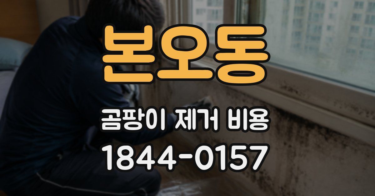 본오동 곰팡이 제거 비용