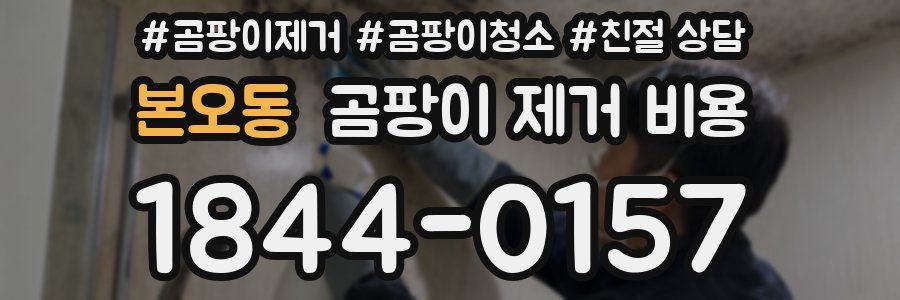 본오동 곰팡이 제거 비용