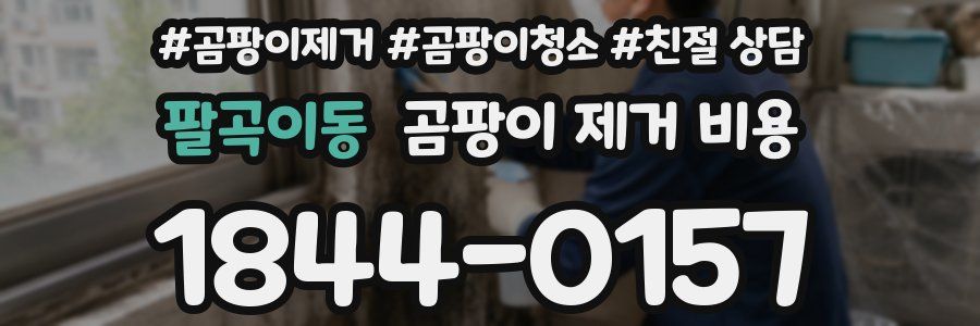팔곡이동 곰팡이 제거 비용