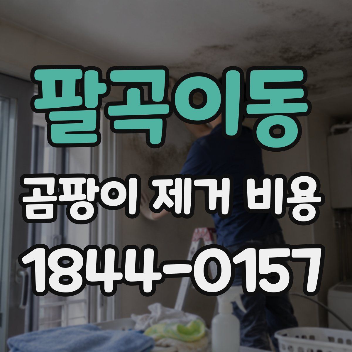 팔곡이동 곰팡이 제거 비용