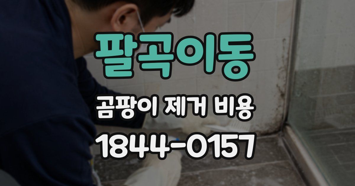 팔곡이동 곰팡이 제거 비용