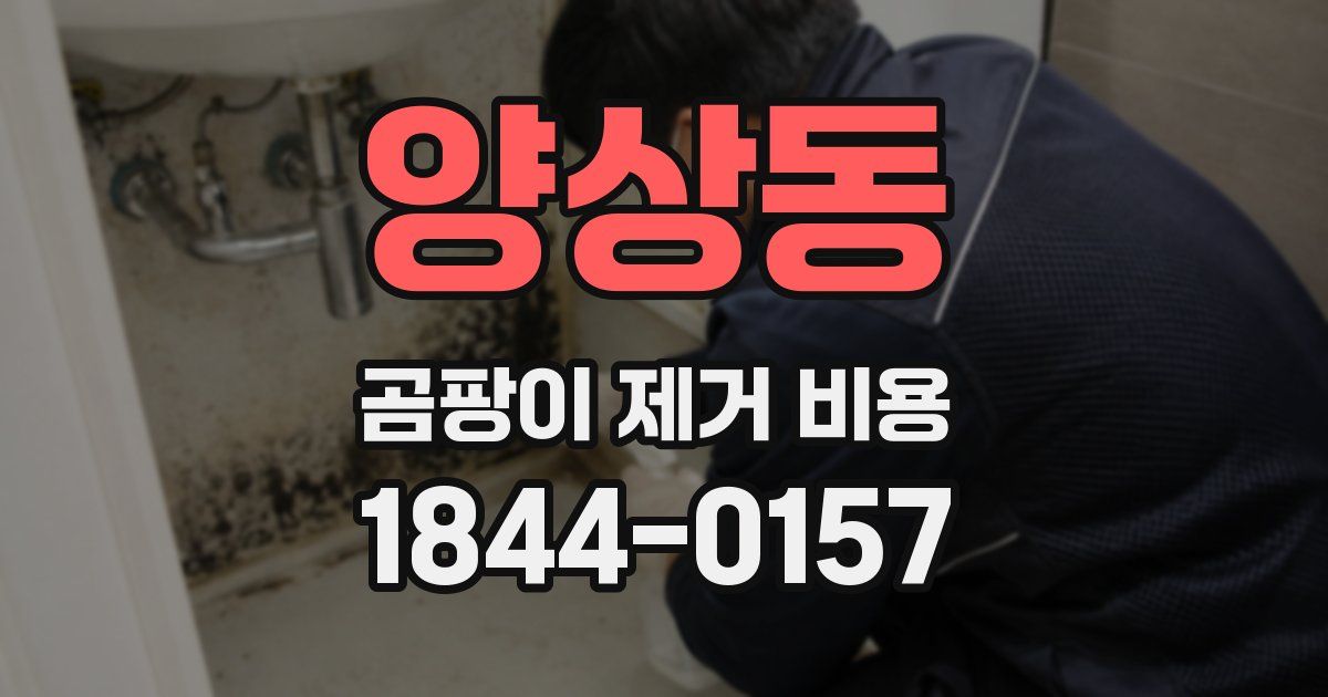 양상동 곰팡이 제거 비용