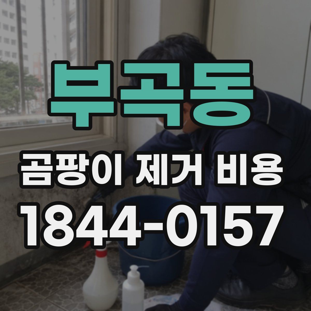 부곡동 곰팡이 제거 비용