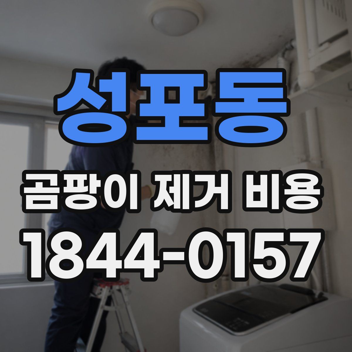 성포동 곰팡이 제거 비용