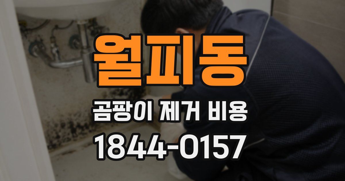 월피동 곰팡이 제거 비용