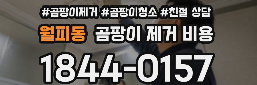 월피동 곰팡이 제거 비용