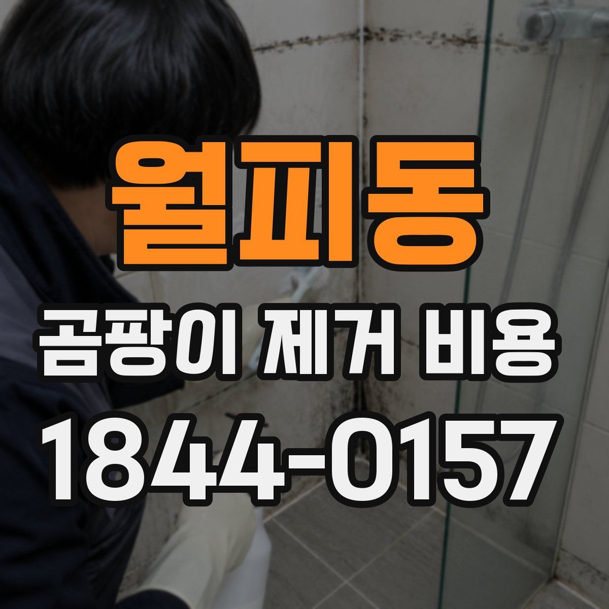 월피동 곰팡이 제거 비용