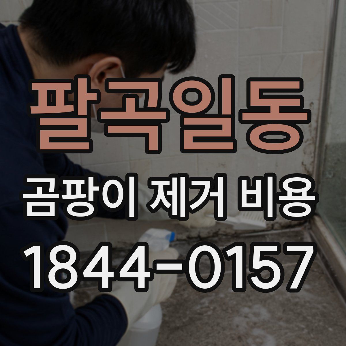 팔곡일동 곰팡이 제거 비용