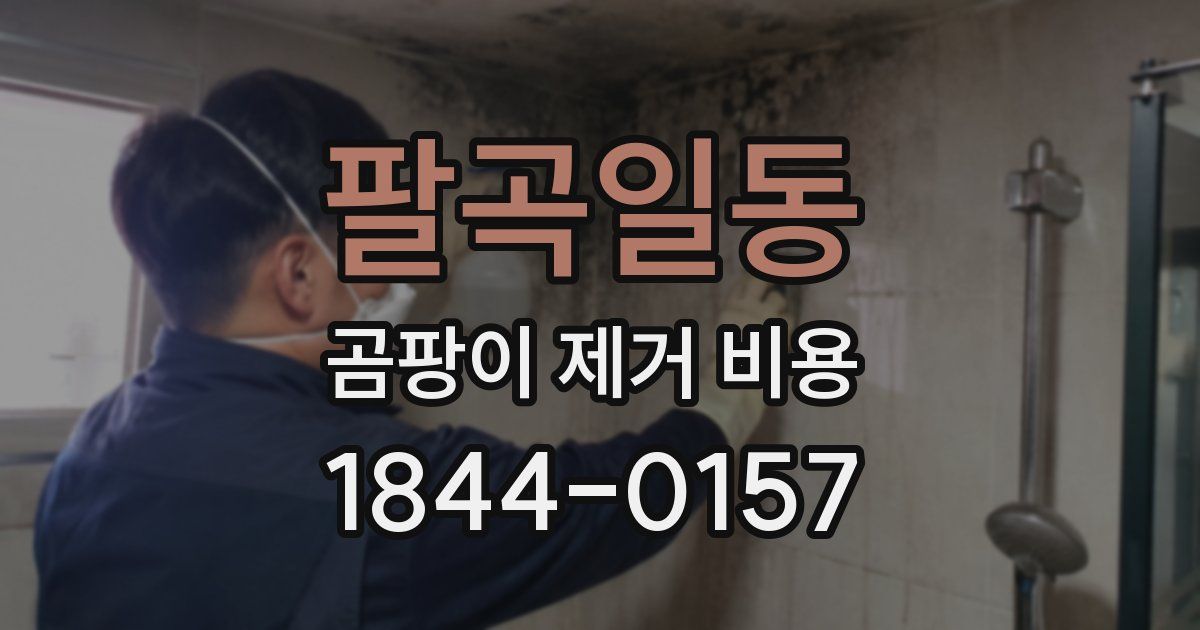 팔곡일동 곰팡이 제거 비용