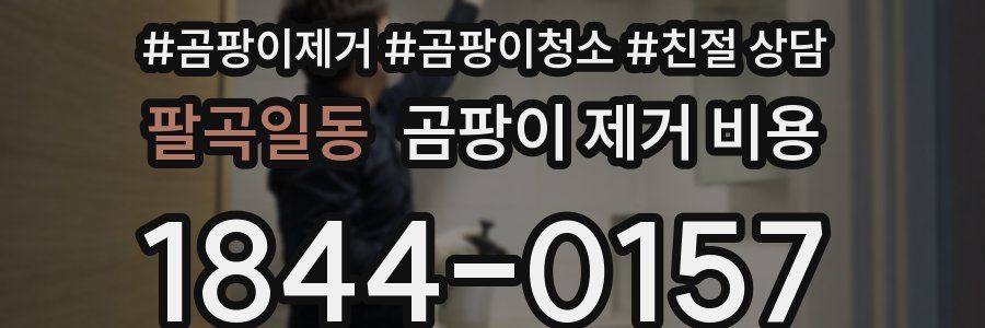 팔곡일동 곰팡이 제거 비용