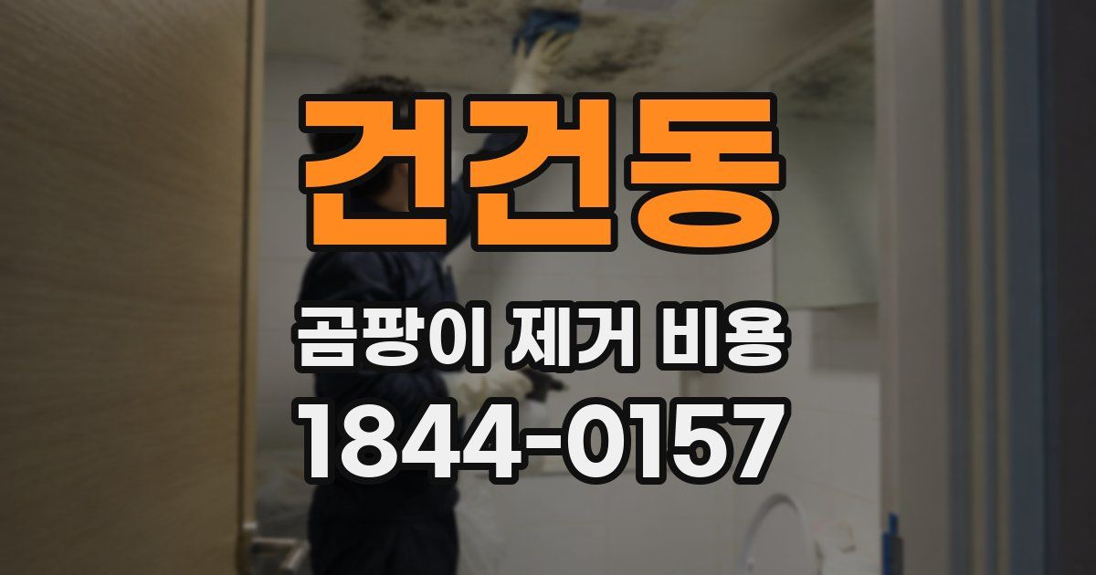 건건동 곰팡이 제거 비용