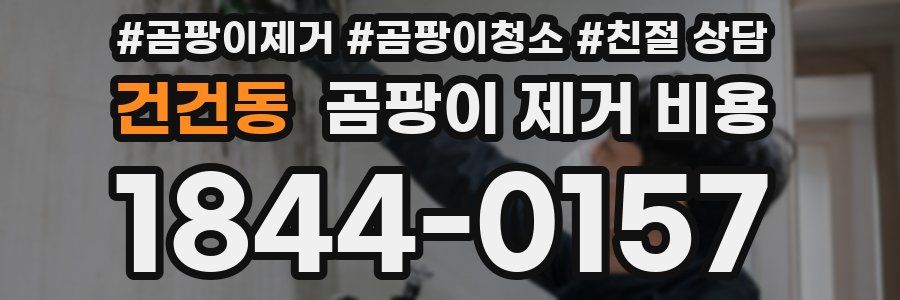 건건동 곰팡이 제거 비용