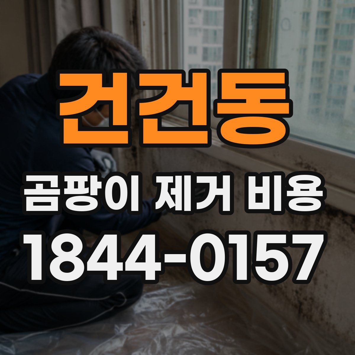 건건동 곰팡이 제거 비용