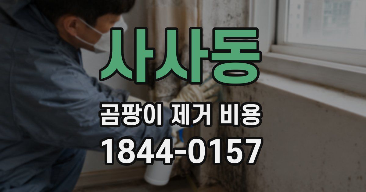 사사동 곰팡이 제거 비용
