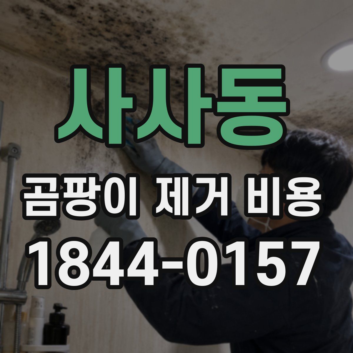 사사동 곰팡이 제거 비용