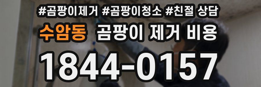 수암동 곰팡이 제거 비용