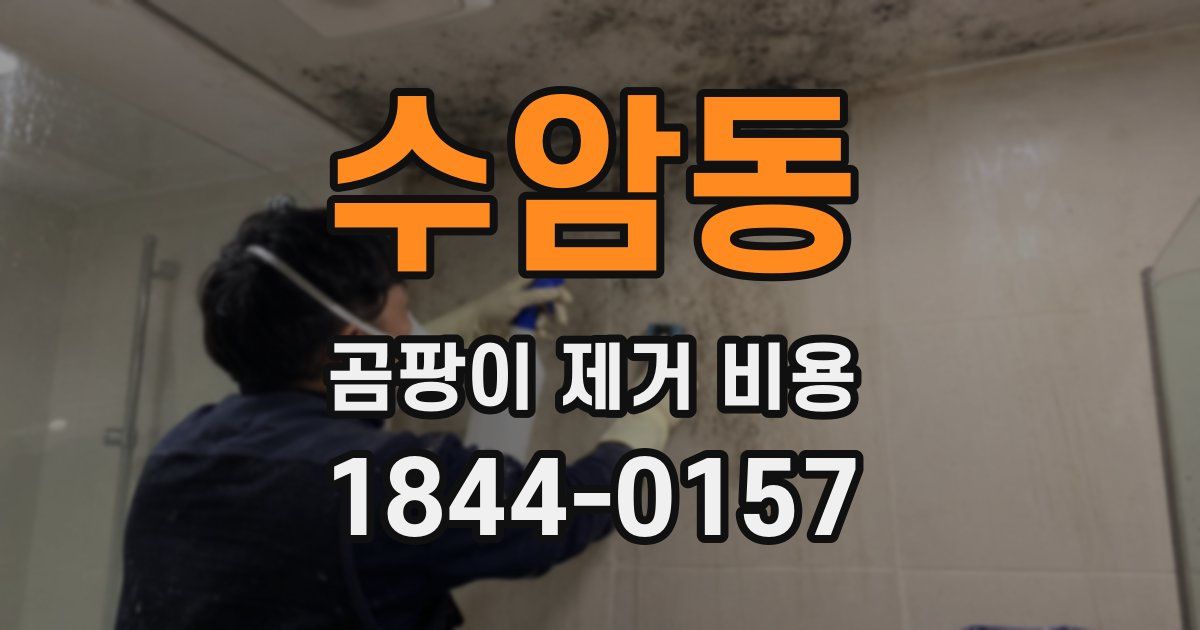 수암동 곰팡이 제거 비용
