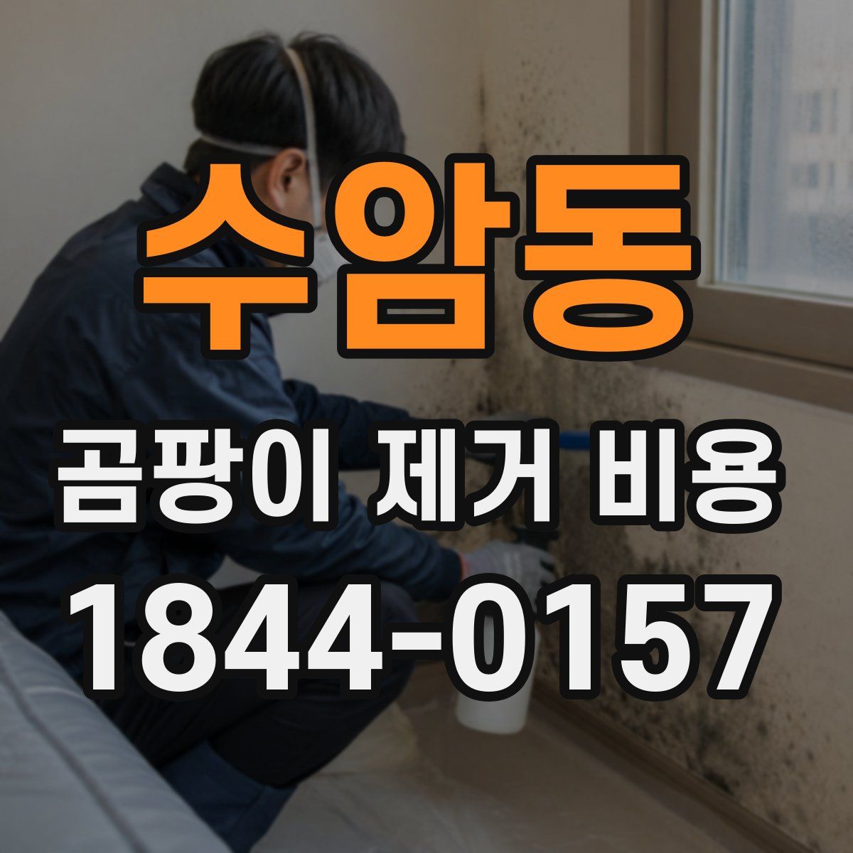 수암동 곰팡이 제거 비용