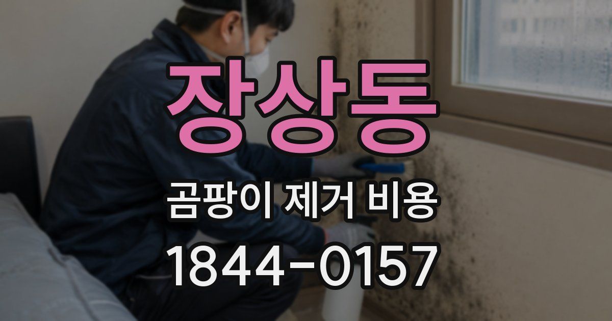 장상동 곰팡이 제거 비용