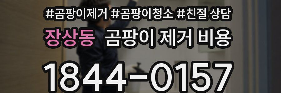 장상동 곰팡이 제거 비용
