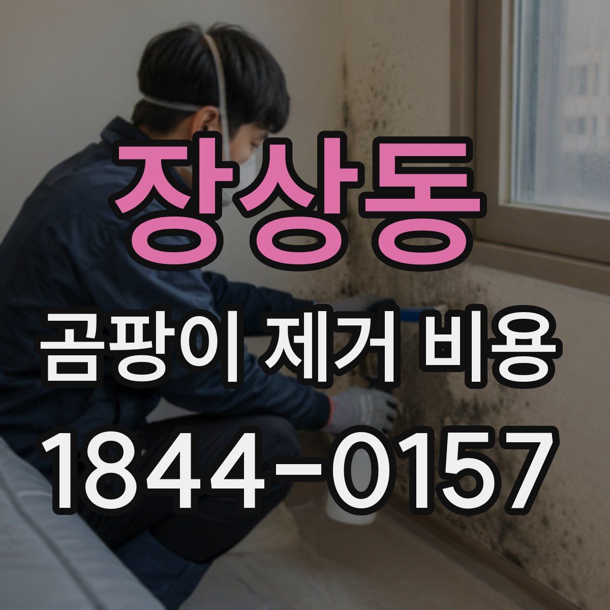 장상동 곰팡이 제거 비용