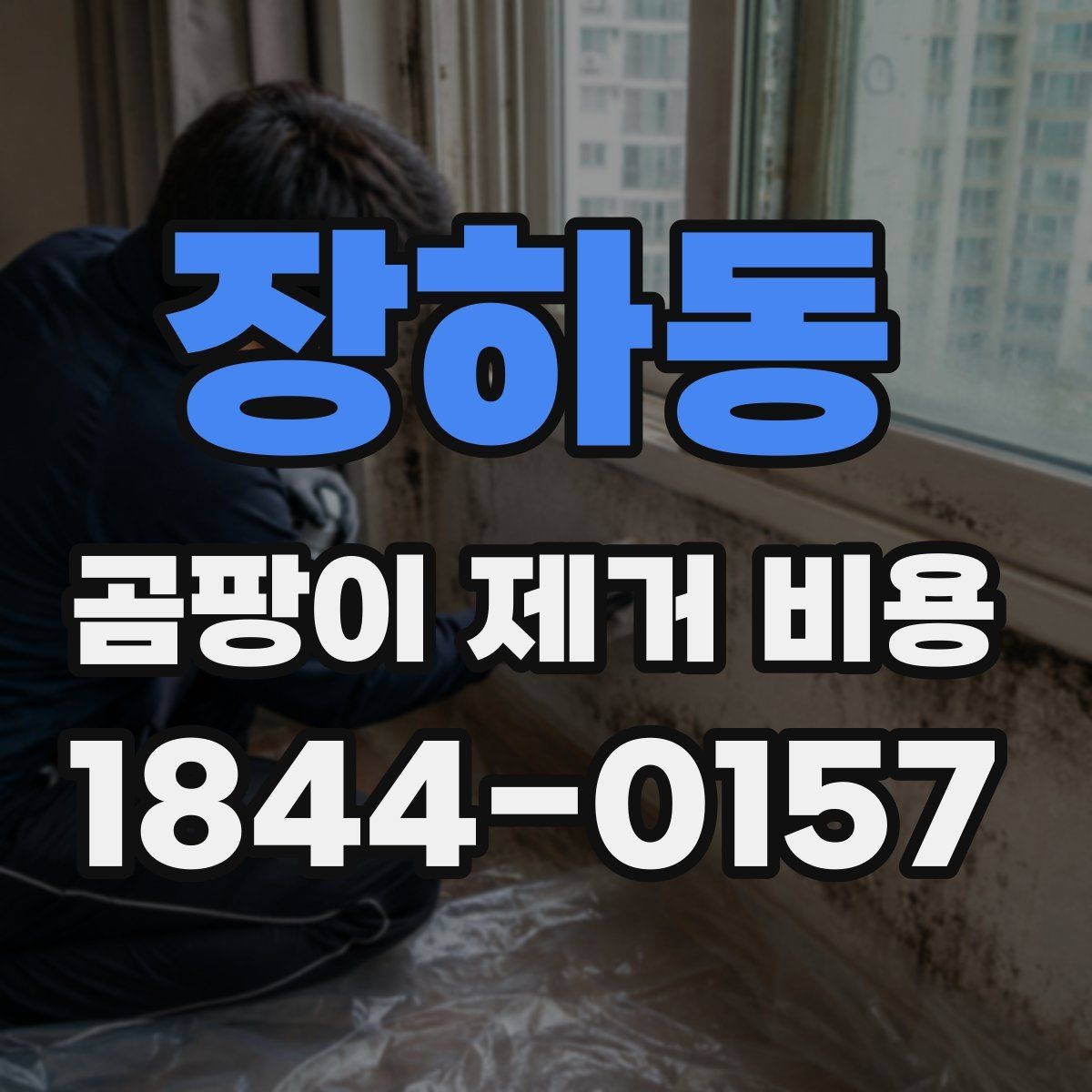 장하동 곰팡이 제거 비용 시공 범위와 마감 방식 정리