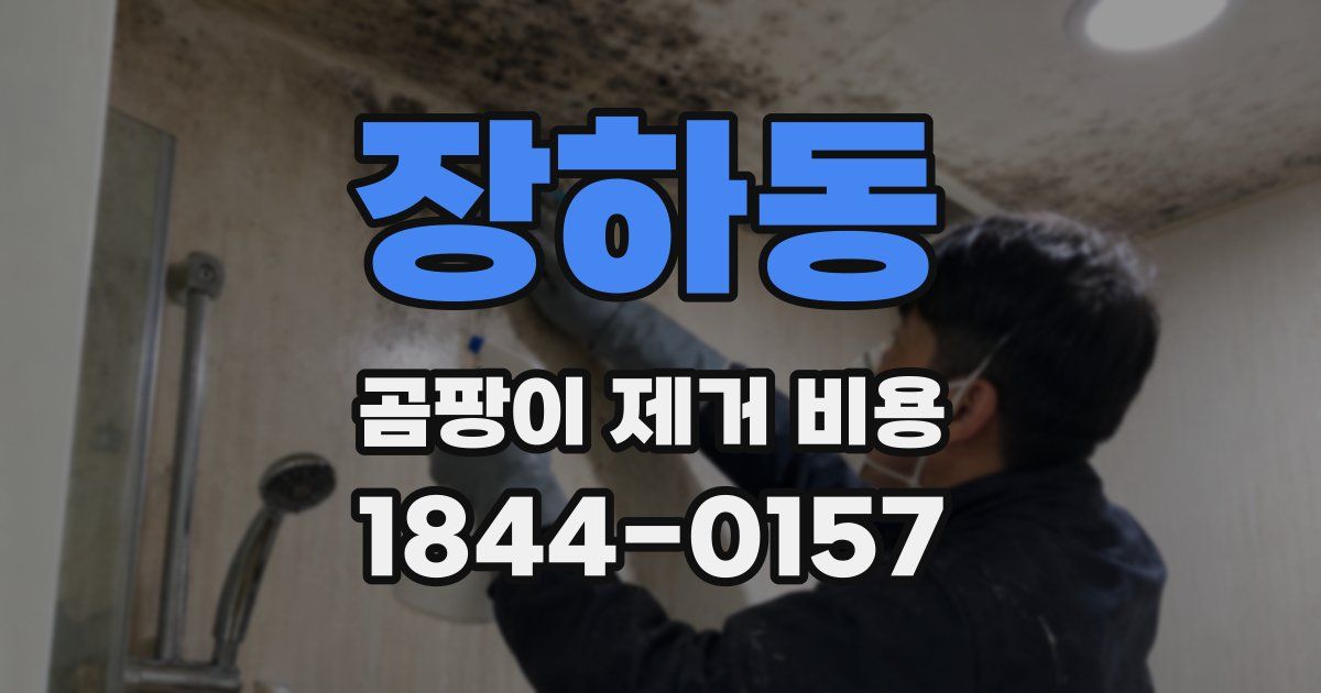 장하동 곰팡이 제거 비용