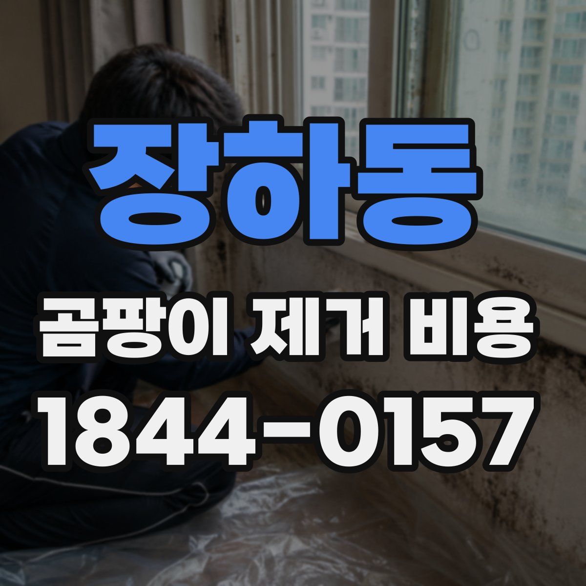 장하동 곰팡이 제거 비용