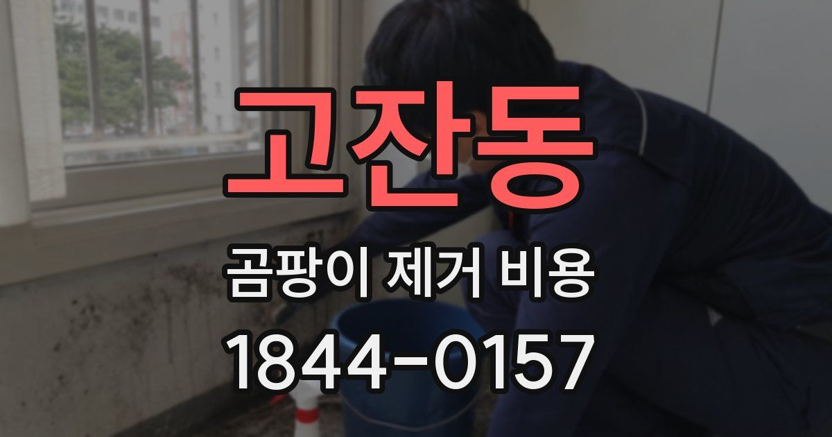 고잔동 곰팡이 제거 비용